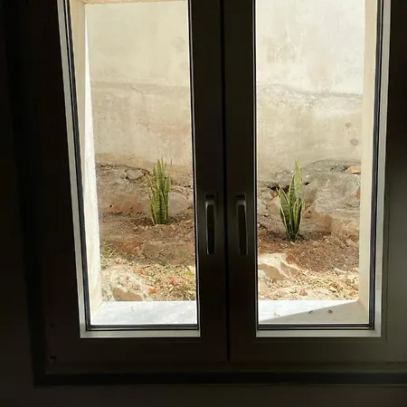 Daire Constantza's House